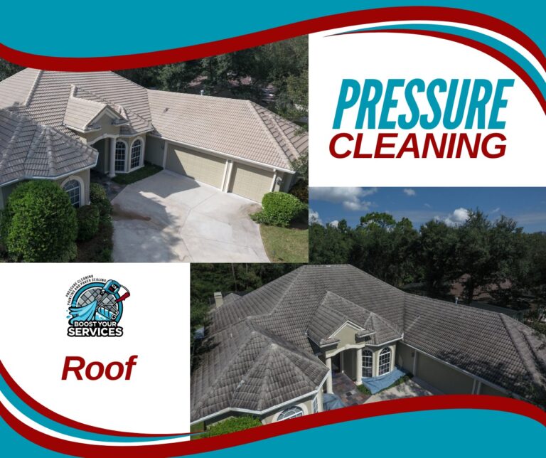 ROOF CLEANING 768x644